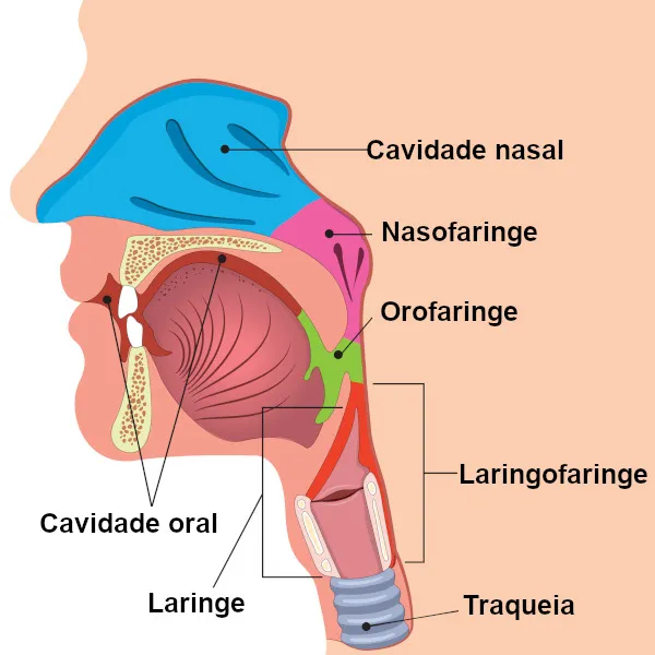 Garganta inflamada: causas, sintomas e diagnóstico